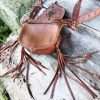 MYSTIC EYE Belt Bag - Image 10